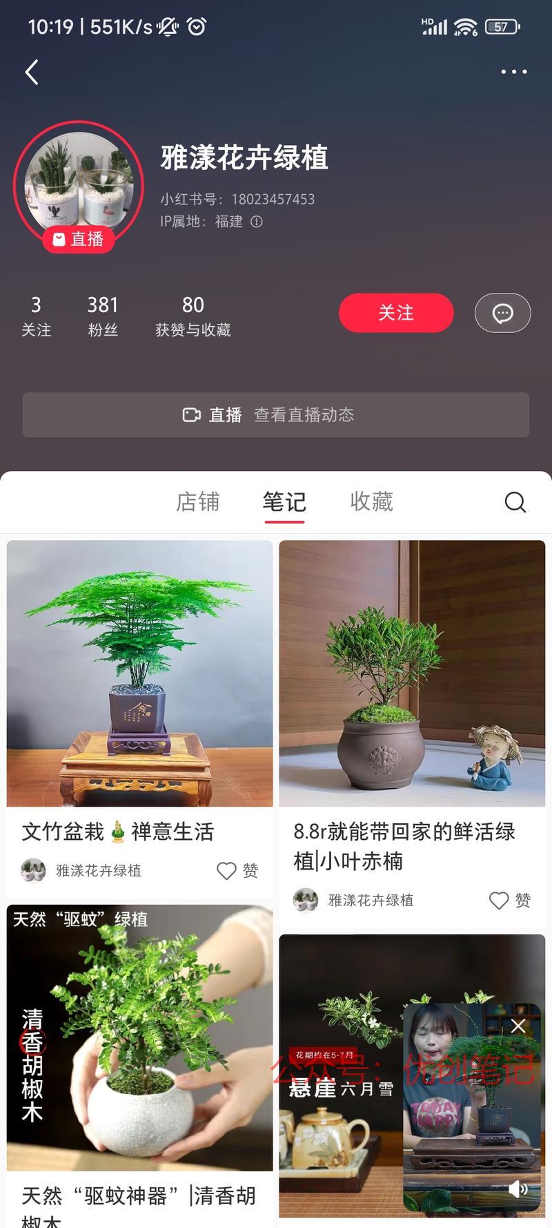 小红书办公室文竹绿植盆…#情报-搞钱线报📢论坛-网创交流-优创圈